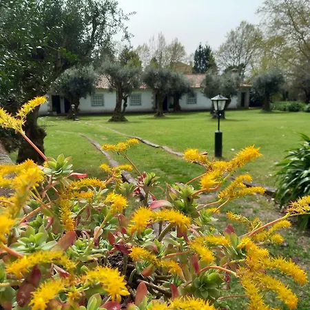 Casas Do Zagao - Tatil Evi Carregal do Sal