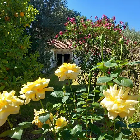 Casa Do Zagao - Turismo Rural
