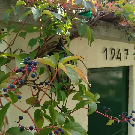 Casa Do Zagao - Turismo Rural