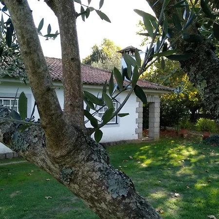 Дом отдыха Casa Do Zagao - Turismo Rural