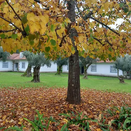 Casas Do Zagao - Carregal do Sal