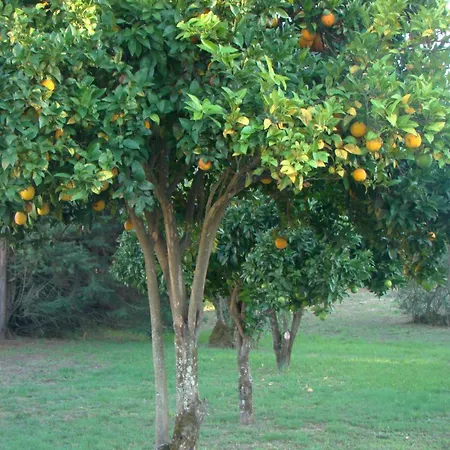 Tatil Evi Casas Do Zagao - *