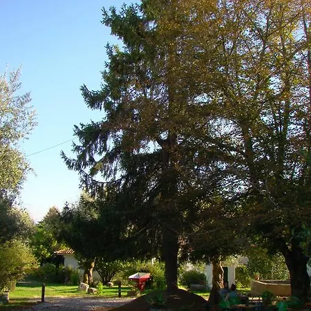 Дом отдыха Casa Do Zagao - Turismo Rural